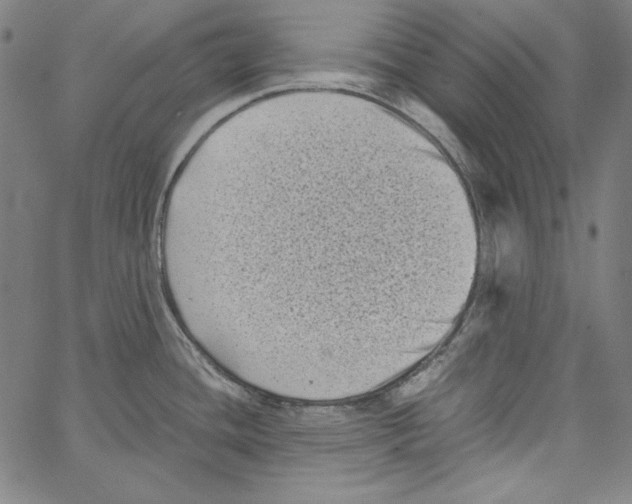 X0000066961436200604211830