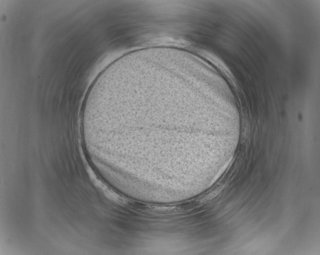 X0000066961439200604211830