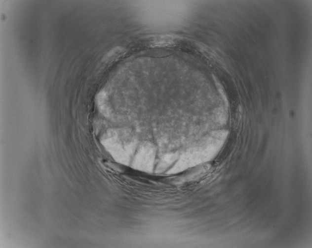 X0000066961441200604211829