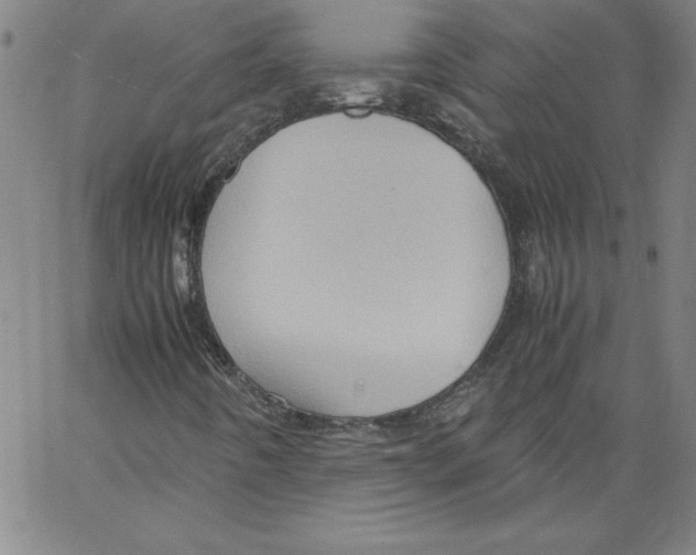 X0000066961442200604211829