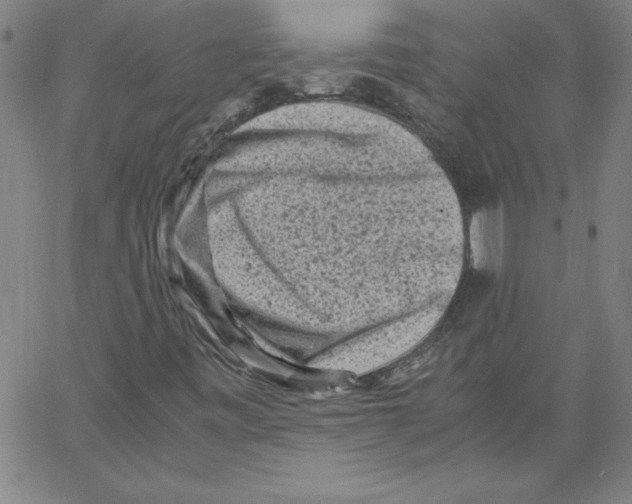 X0000066961443200604211829