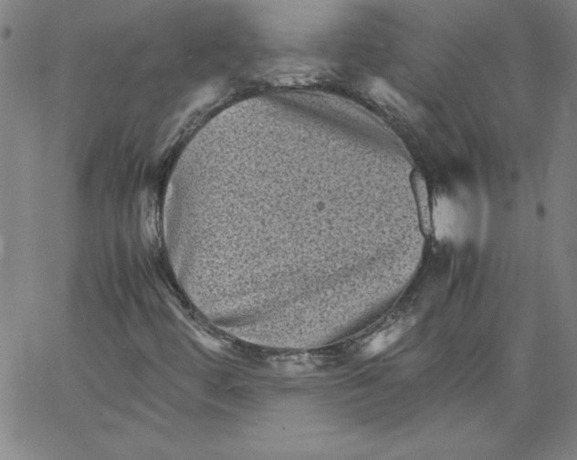 X0000066961444200604211829