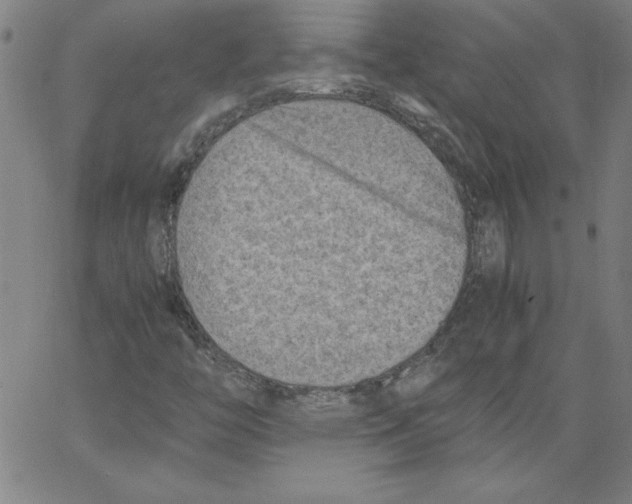 X0000066961446200604211829