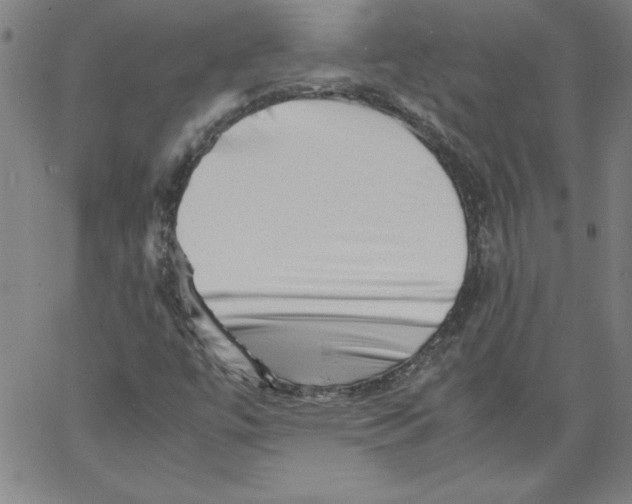 X0000066961447200604211829