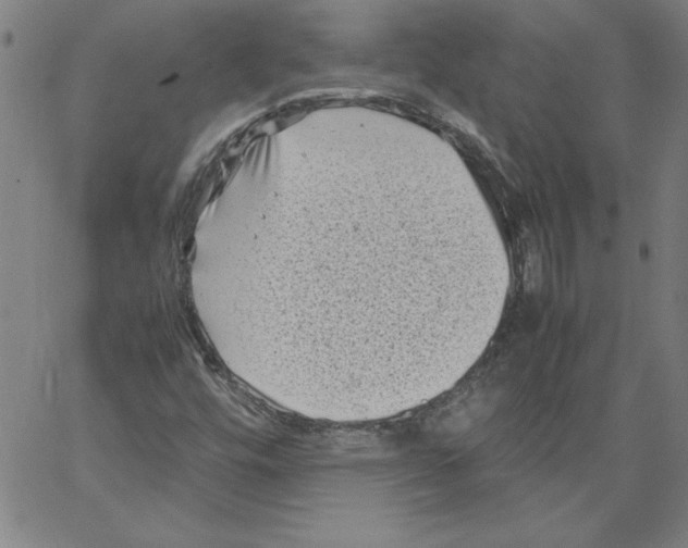 X0000066961448200604211829