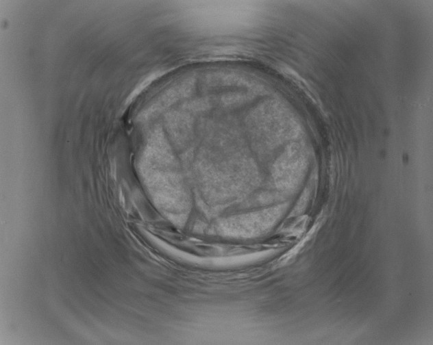 X0000066961449200604211829