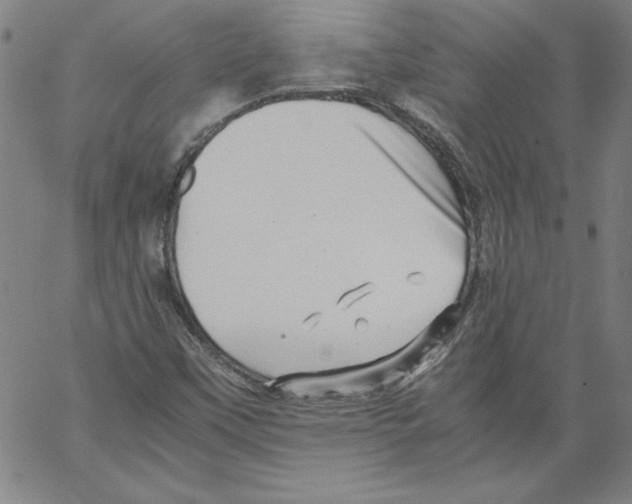 X0000066961451200604211829