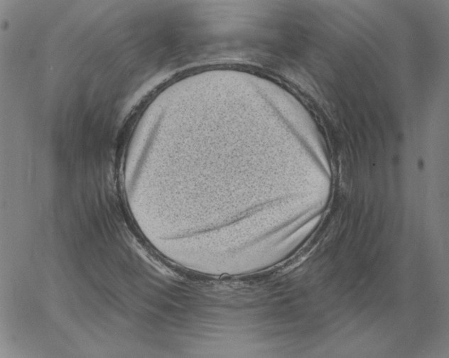 X0000066961452200604211829