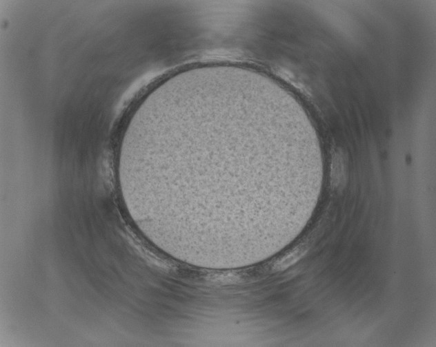 X0000066961454200604211829