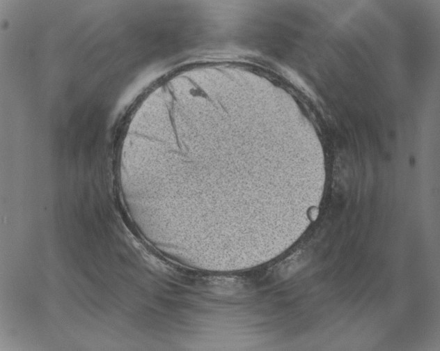 X0000066961456200604211829