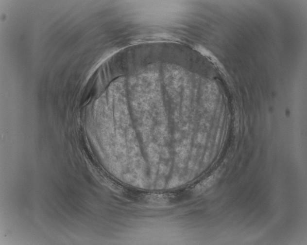 X0000066961457200604211829