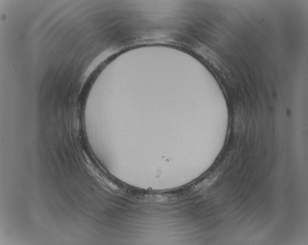 X0000066961458200604211829