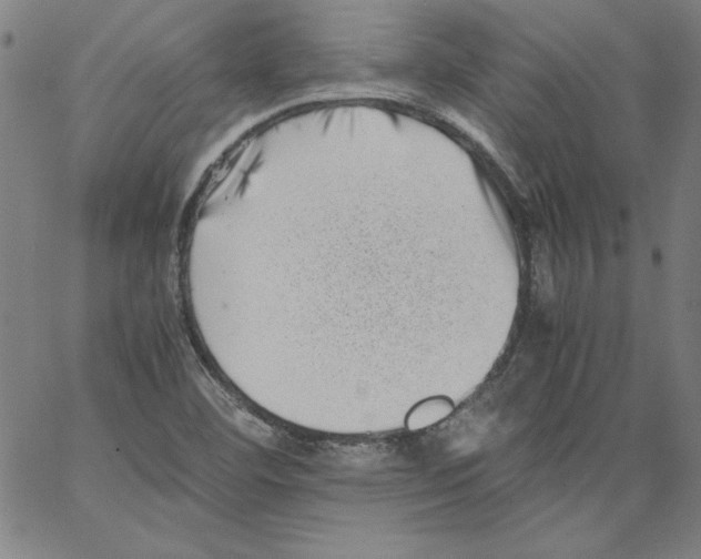 X0000066961460200604211829