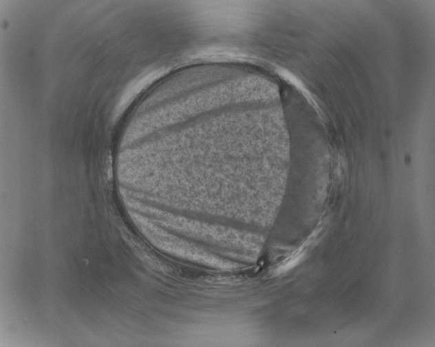 X0000066961461200604211829