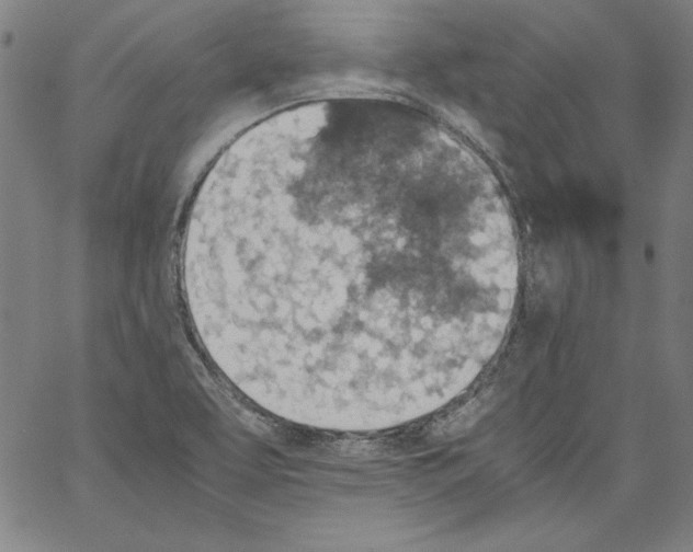 X0000066961463200604211829