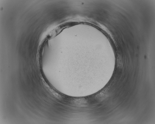 X0000066961464200604211829