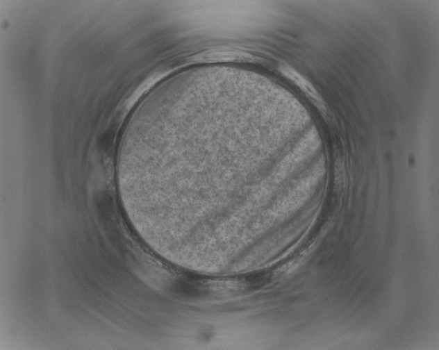 X0000066961465200604211829