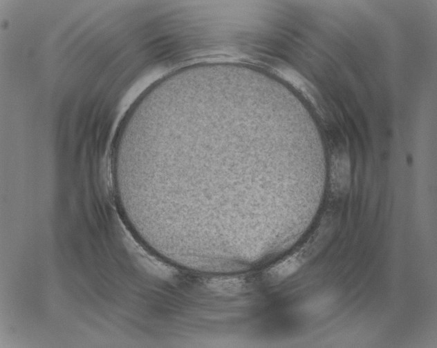 X0000066961466200604211829