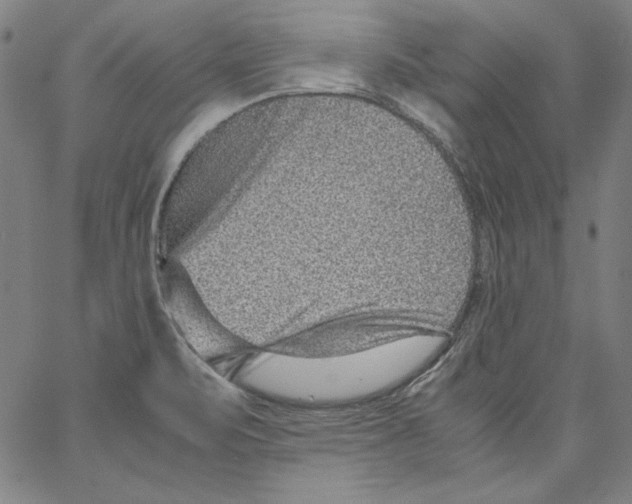 X0000066961471200604211829