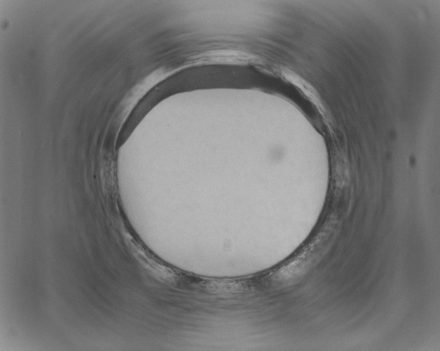 X0000066961473200604211829