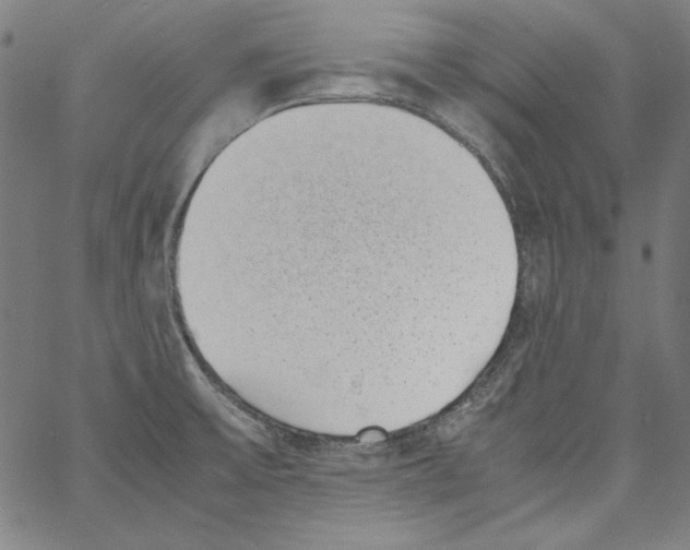 X0000066961475200604211829