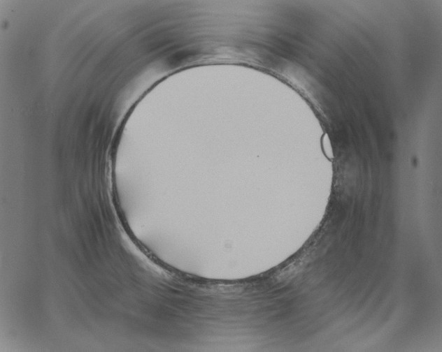 X0000066961476200604211829