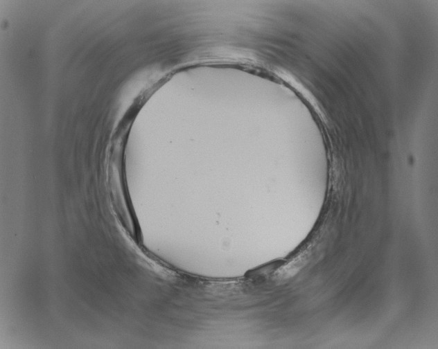 X0000066961477200604211829