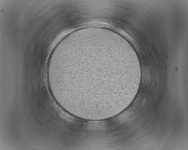 X0000066961478200604211829