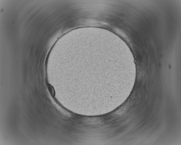 X0000066961479200604211829