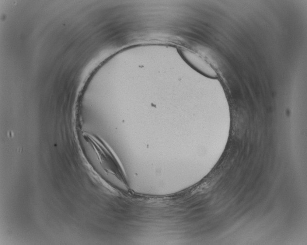 X0000066961480200604211829