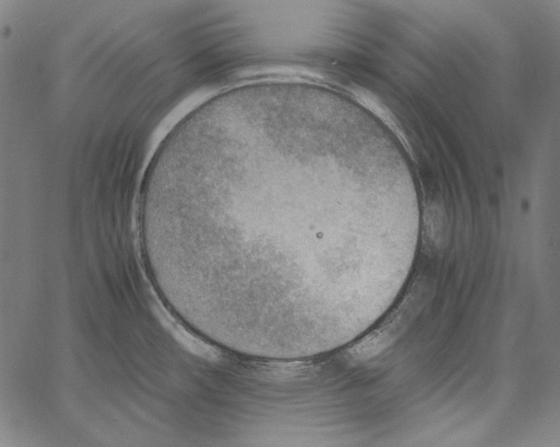 X0000066961482200604211828