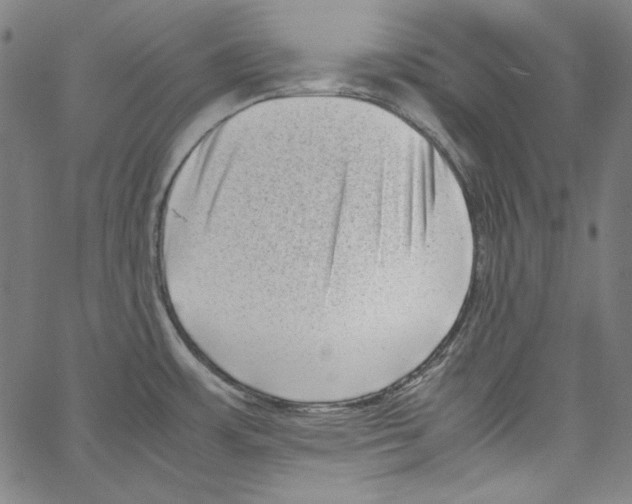 X0000066961483200604211828