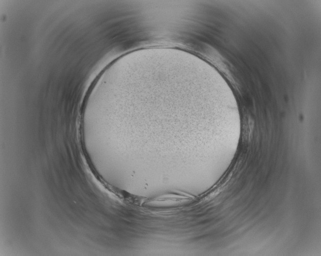 X0000066961484200604211828