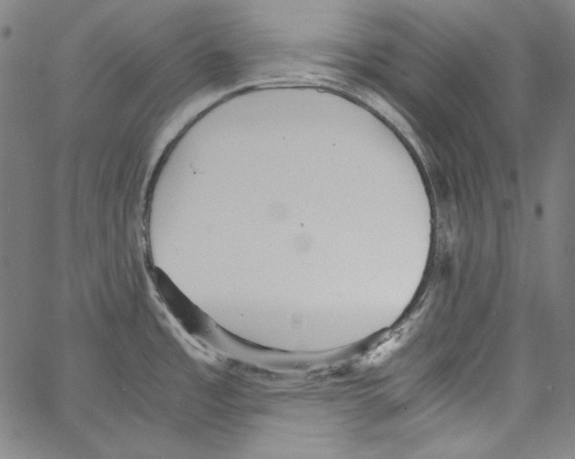 X0000066961485200604211828