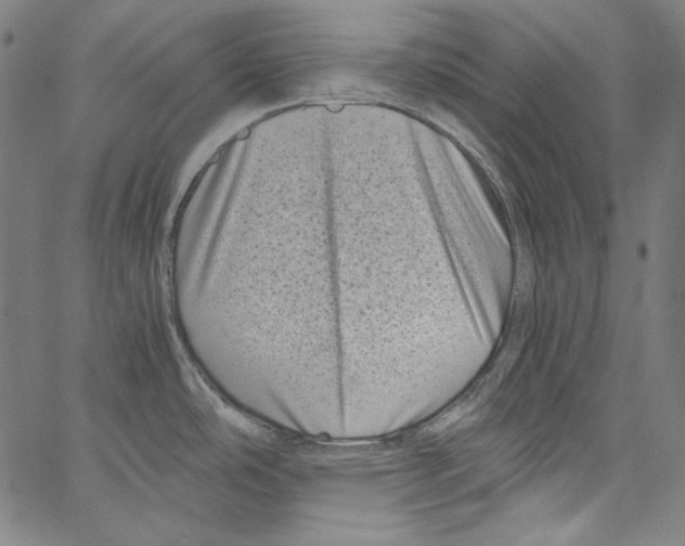 X0000066961486200604211828