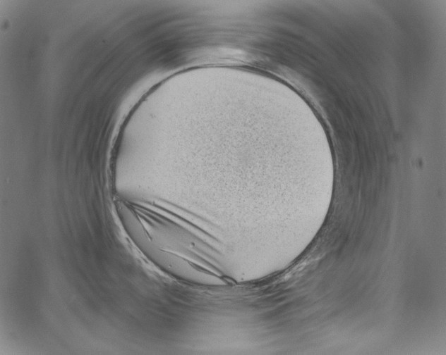 X0000066961488200604211828