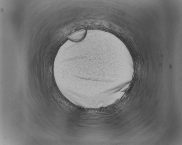 X0000066961489200604211828