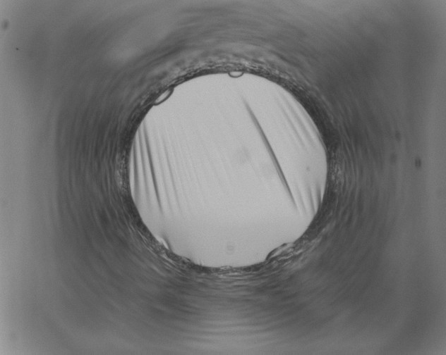 X0000066961490200604211828