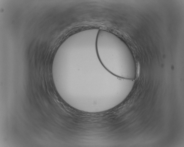 X0000066961492200604211828