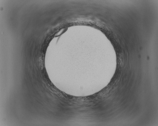 X0000066961493200604211828