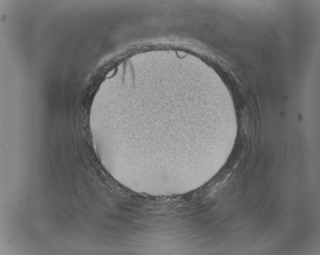 X0000066961494200604211828