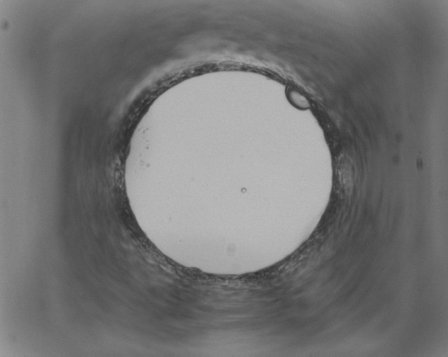 X0000066961495200604211828