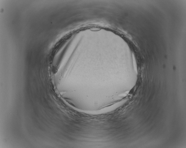 X0000066961496200604211828