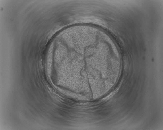 X0000066961497200604211828