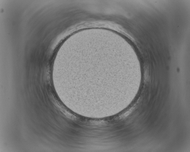 X0000066961498200604211828