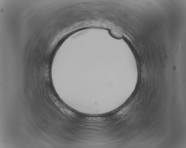 X0000066961499200604211828