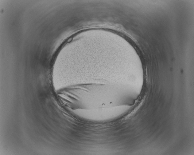 X0000066961501200604211828