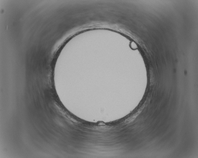 X0000066961502200604211828