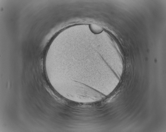 X0000066961503200604211828