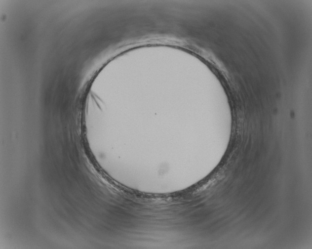 X0000066961504200604211828